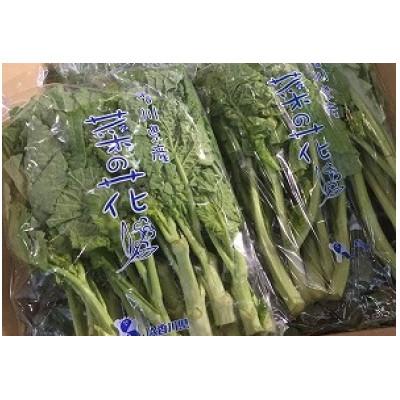 ふるさと納税 琴平町 【先行予約2026年12月〜2027年3月頃発送】 菜の花(袋入り) 約2kg |  | 01