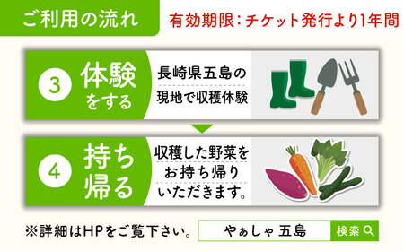 旬野菜の収穫体験 お土産の特典付 大人1人分 五島市/株式会社五島のやぁしゃ便 [PBG006]  野菜 やさい 収穫 体験