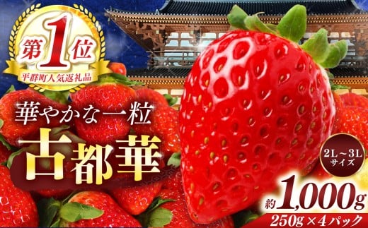 平群 の 古都華 約 1000g （ 4パック ） 2L ～ 3L サイズ | 先行予約 フルーツ 果物 くだもの ブランド いちご 苺 古都華 ことか 甘い 大人気 満足 希少 希少品種 ストロベリー 美味しい 品種 特徴 糖度 ルビー色 2月 3月 4月 発送 旬 送料無料 濃厚 香り 果汁 味わい深い お取り寄せ 産地直送 へぐり果実堂 名産地 奈良県 平群 町