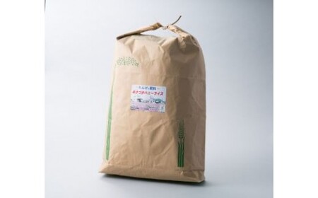 ハニーライス白米  キヌヒカリ 30kg（精米後27kg程度） 農事組合法人万葉の郷ぬかづか 滋賀県 東近江市 E-H04 キヌヒカリ 30kg 27kg お米 米 白米 精米 滋賀 東近江 レンゲ 特別栽培 環境こだわり