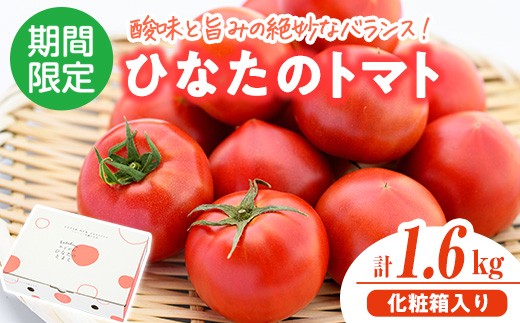 
                  門川ひなたのトマト(800g×2箱) 高糖度 トマト フルーツトマト 野菜 旬野菜 冷蔵 門川町産 宮崎県 門川町 【TM-02】【宮崎県農業協同組合日向地区本部(門川選果場)】
                
