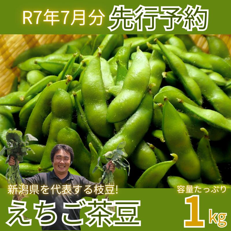 【ふるさと納税】 新発田市産枝豆 えちご茶豆 1kg 【先行予約】早期予約 予約 えだまめ エダマメ 豆 まめ マメ 茶豆 枝豆 新発田の枝豆 新潟 新潟県 新発田 新発田市 数量限定 ビールに合う おつまみ ビールのおつまみ ビール 合う 夜 夕食 genzou001