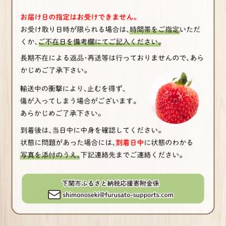 【 4月お届け 】 訳あり いちご よつぼし 2kg 冷蔵 下関 山口