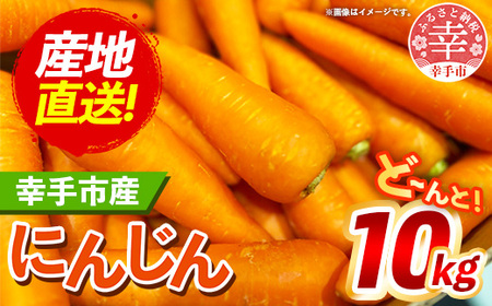 【きあり農園】2026年度 幸手市産 人参 10kg - 採れたて にんじん ニンジン 産地直送 野菜 ベジタブル 美味しい おいしい 根菜 煮物 炒め物 カレー サラダ おすすめ 送料無料 埼玉県 幸手市