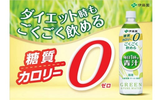1D1　伊藤園　ごくごく飲める毎日1杯の青汁　900g　12本