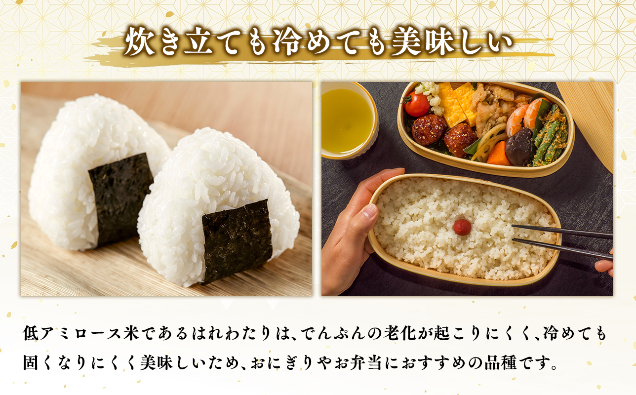 ≪令和8年産 先行予約≫12月中旬よりお届け! 　特別栽培米 はれわたり白米20kg【青森県 平川市】