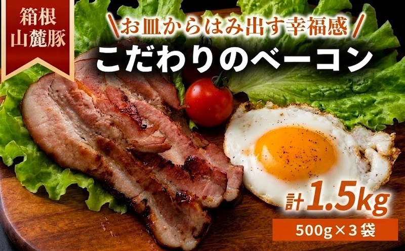 
                  ベーコン【1.5kg】スライス べーこん ベーコンスライス ベーコンセット ベーコン詰め合わせ 豚肉 肉 料理 朝食 朝ごはん グルメ 手作り 手づくり 冷凍 肉のワタナベ ワタナベ 静岡県 三島市
                