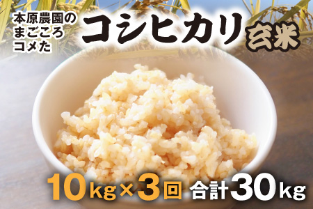 【令和7年産】【農家直送定期便 3ヶ月コース】本原農園のまごころコメたコシヒカリ 10kg × 3回 計30kg（玄米） [H-8906]