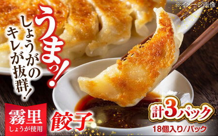 餃子家 龍 霧里 しょうが 餃子 セット[APAZ046] 肉 肉 肉 肉 肉