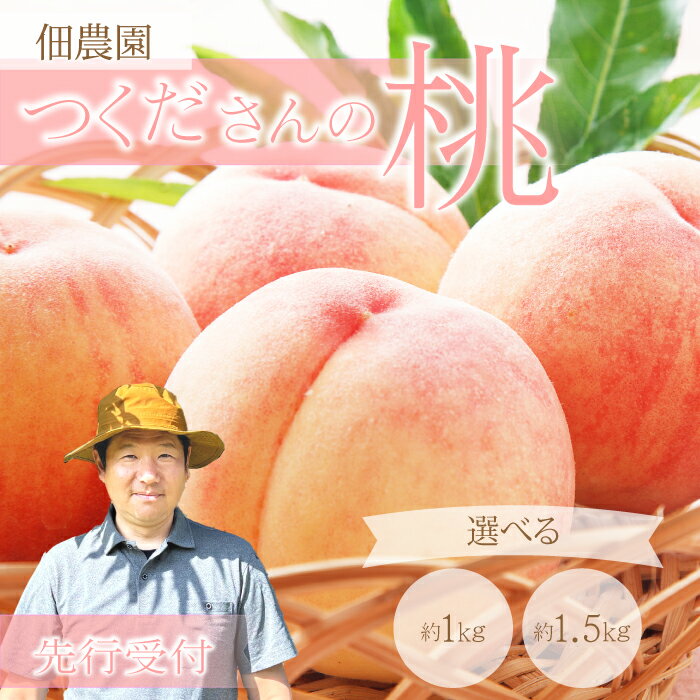 【ふるさと納税】【先行受付】つくださんの桃 選べる容量 1kg（6個）/ 1.5kg（5～8個） もも モモ 果物 フルーツ 夏 広島県三原市 210001-r