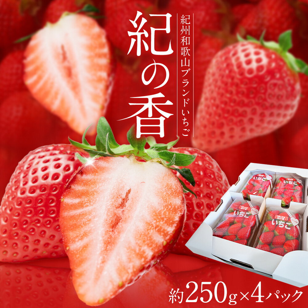 【ふるさと納税】いちご イチゴ 苺 フルーツ 果物 紀州和歌山 ブランドいちご 紀の香 250g × 4パック 1kg 1000g 株式会社魚鶴商店《2月上旬-2月下旬頃出荷》和歌山県 日高町 スイーツ 甘い ケーキ お菓子作り