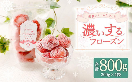 
武下さんちの　冷凍あまおう　「濃いするフローズン200g」×4袋
