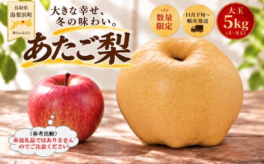 14MZ.あたご梨5kg