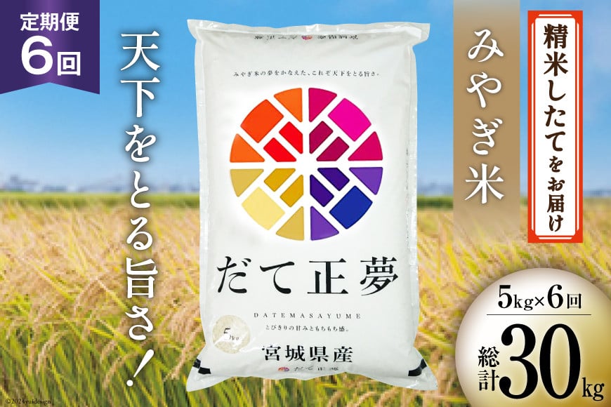 
                  6回 定期便 米 宮城県産 だて正夢 5kg ×6回 総計 30kg [菊武商店 宮城県 気仙沼市 20564946] お米 こめ コメ 白米 精米 ブランド米 ご飯 ごはん 小分け 家庭用 6ヶ月
                