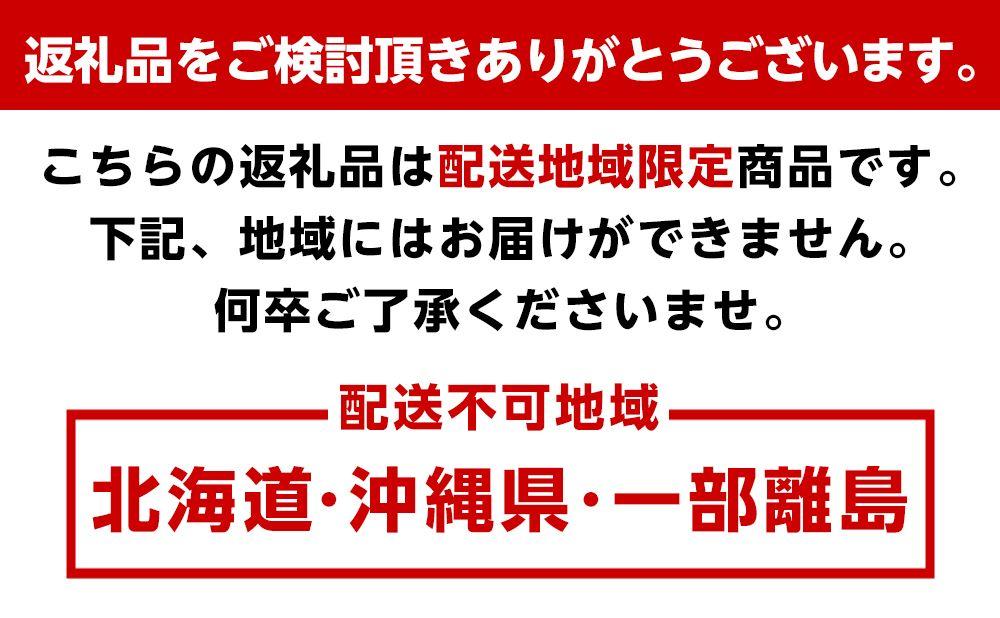 農家直送 朝採り濃厚シャインマスカット 約４ｋｇ【先行予約】