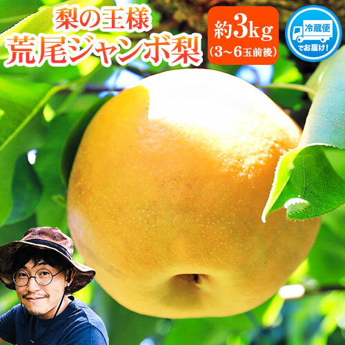 【ふるさと納税】 【2026年 先行予約 】梨 新高 ジャンボ梨 ( 新高梨 ) 約 3kg (3〜6玉前後) なし 荒尾梨 にいたか フルーツ 果物 デザート 旬 熊本県荒尾市産 高口果樹園《2026年10月上旬-11月末頃出荷》