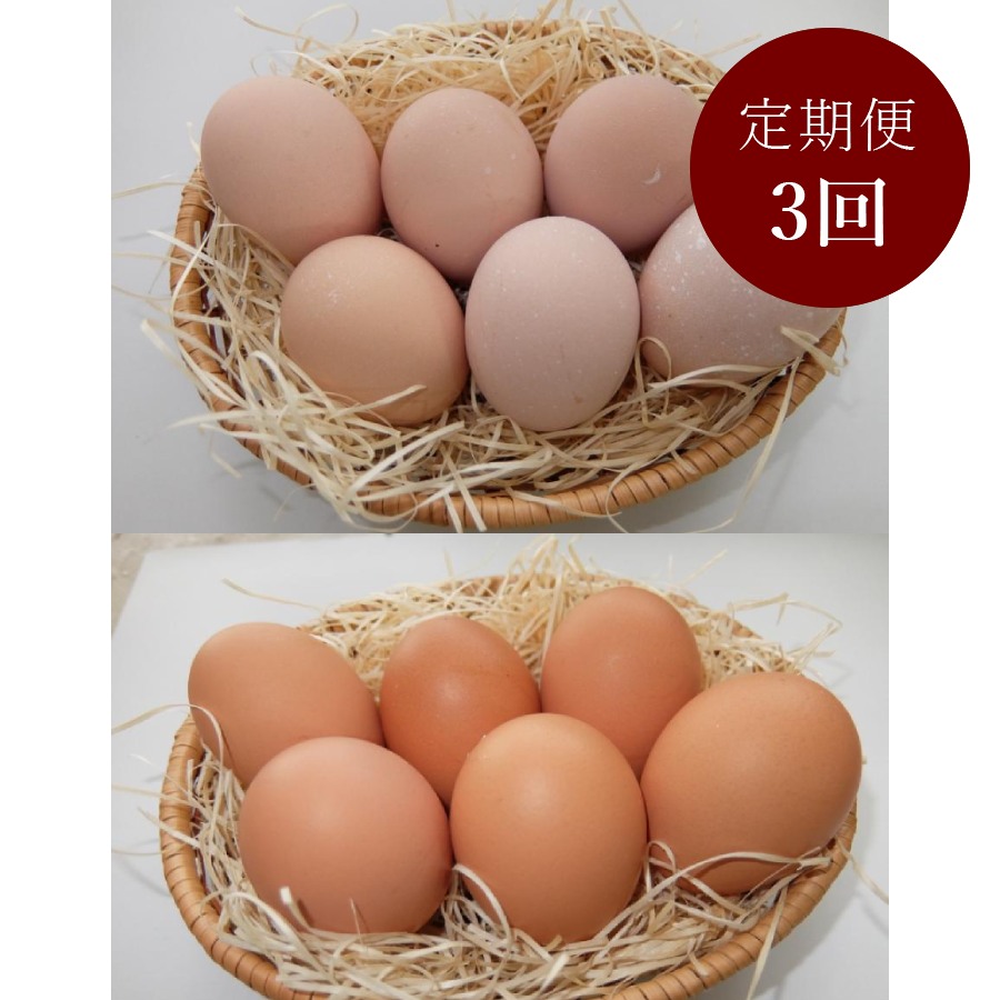 ＜山田養鶏＞「名古屋コーチン卵」＆「赤玉元気卵」各15個（計30個）【3ヵ月定期便】
