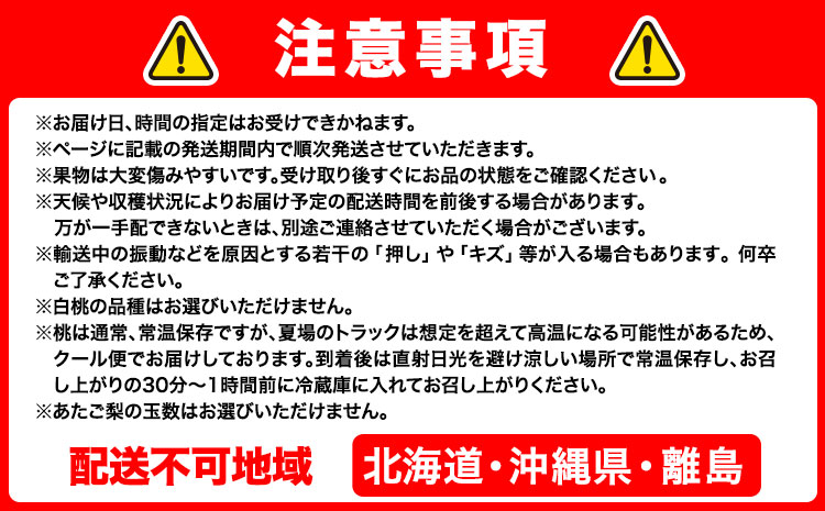 【2026年先行予約】定期便6回コース 岡山のフルーツ 清水白桃 6玉 岡山の白桃 6玉 ニューピオーネ 1房 瀬戸ジャイアンツ 1房 シャインマスカット 晴王 2房 紫苑 1房 あたご梨 4~5玉