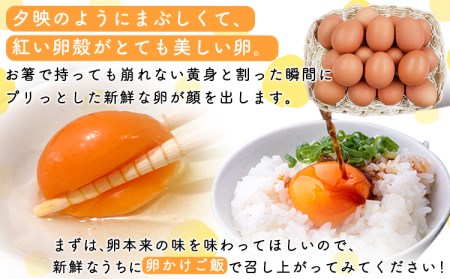【6ヶ月定期便】畠中育雛場のげんきタマゴん 80個 6回お届けで計480個！《お申込み月の翌月から出荷開始》福岡県   卵  有限会社畠中育雛場