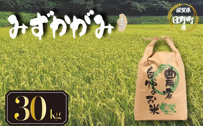 【先行予約】令和8年産 新米 みずかがみ 30kg 玄米 米 【KW028】 近江米