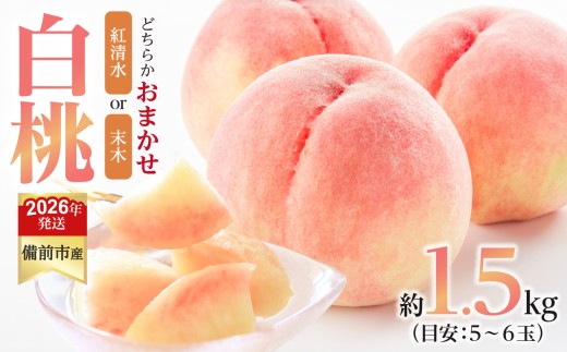 【2026年発送分　先行受付開始！】びぜん白桃　紅清水白桃・末木白桃のうち1品種　約1.5kg（令和8年6月下旬～7月頃発送）【岡山県備前市産 紅清水白桃 末木白桃 うち1品種 約1.5kg （５～６玉目安）】