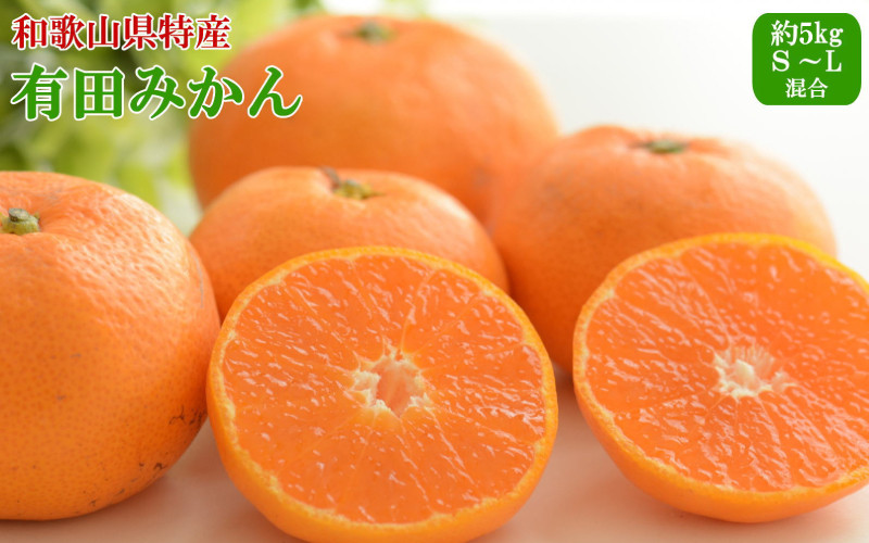 
            【秀品】和歌山有田みかん 約5kg（S～Lサイズ混合）【2025年11月中旬～2026年1月中旬頃発送予定】【TM95】
          