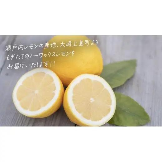 【先行予約】 もぎたてフレッシュ！ せとうちレモン 約5kg (約 40～50個程度 ) 2026年12月中旬～2027年1月発送 ワックス防腐剤不使用 皮まで丸ごと食べられる