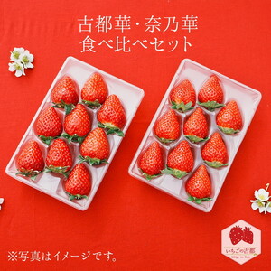 【先行予約・数量限定】【奈良県知事賞受賞】【食べ比べセット】古都華（ことか）1パック・奈乃華1パック｜とのあさイチゴ農園 ※2026年1月中旬～5月上旬頃に順次発送予定