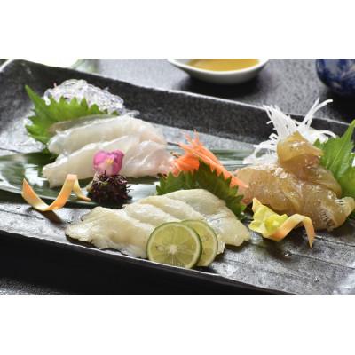 ふるさと納税 佐世保市 天然クエ刺し贅沢極め盛り