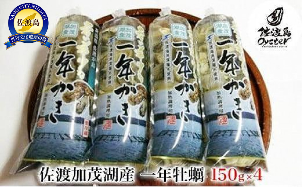 
            【佐渡加茂湖産】一年牡蠣　むき身（150g×4袋）
          