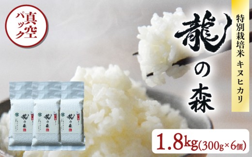 龍の森 真空パック キヌヒカリ 300g×6個 お米 米 1.8kg 真空包装 旨味 甘み ご飯 白米 おいしい パック 小分け 便利 特別栽培米 AM酵素農法 長期保存