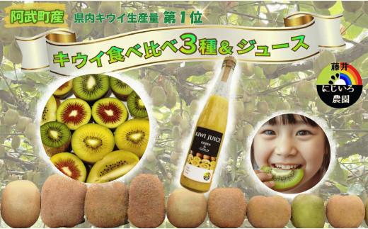 キウイ フルーツ 食べ比べ アソート 3種 約1.4kg ＆ キウイ ジュース 500ml （ 果汁 70％ ） セット 阿武町産 キウイ トリプル ジュースセット フルーツ 果物 詰め合わせ 山口県産 【お届け：2026年11月中旬～2027年2月下旬頃 出荷予定】