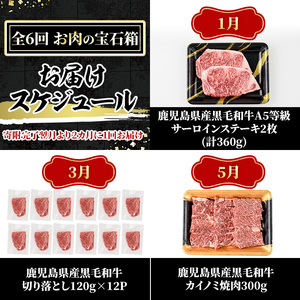 a1035 《定期便全6回》黒毛和牛満喫セット(計4.26kg)サーロインステーキ・切り落とし・カイノミ焼肉・ハンバーグ・赤身ランプステーキ・サーロインスライスの定期便【水迫畜産】国産 鹿児島産 肉 