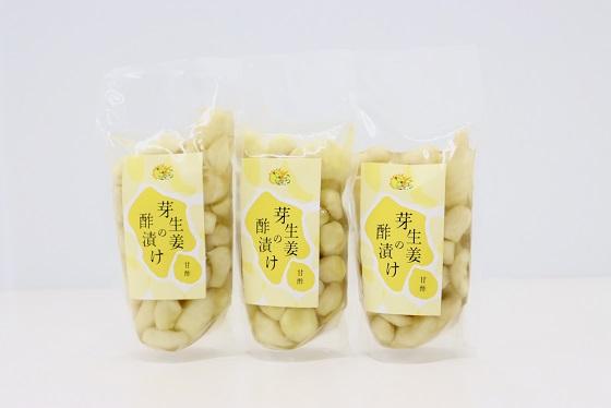 芽生姜の甘酢漬け 3パック