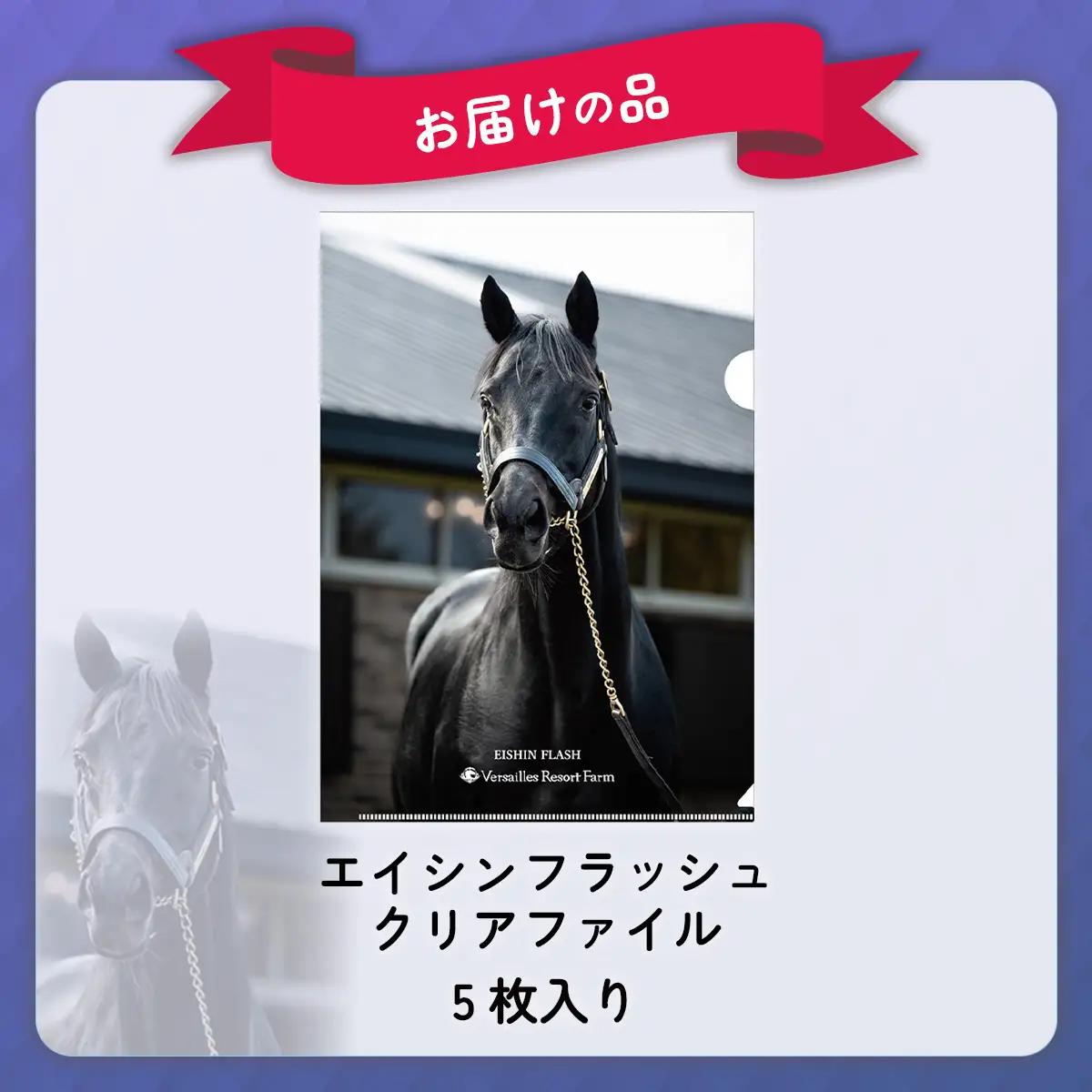【エイシンフラッシュ】クリアファイル5枚入り BRTV033