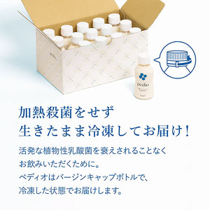 植物性乳酸菌発酵飲料「pedio」(ペディオ)　95g×15本 | 送料無料 定期便 冷凍 生きた植物性乳酸菌 シュガーフリー 植物由来 米 米こうじ 乳酸菌 栃木県 下野市 飲み物 飲料 栃木県 下