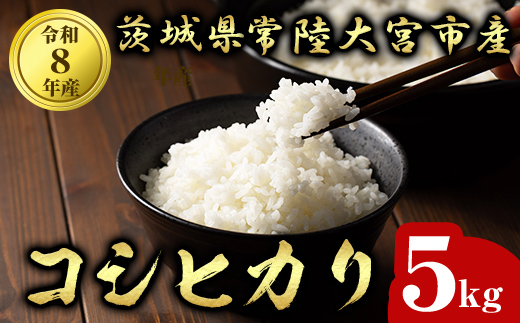 ＜2026年10月発送＞常陸大宮産 コシヒカリ 5kg 米 お米 令和8年産 精米 白米 こめ コメ ご飯 5キロ 茨城県産 【有限会社 宇佐美米店】【ho1750】