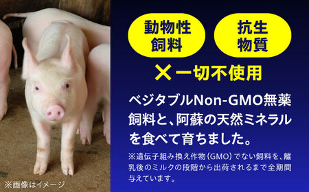 『香心ポーク』切り落とし 約250g×14パック（計約3.5kg）豚肉切り落とし 冷凍 熊本県産 [AYCK021]