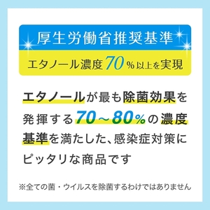ウェットティッシュ バケツタイプ 本体 300枚 1個 高濃度エタノール除菌79％ ウェットティッシュ 日用品 日用品