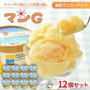 中城の中学生が開発した濃厚マンゴーアイス『ティーダの落とした笑顔の種。マンG』(130ml×12個)【配送不可地域：離島】【1670781】