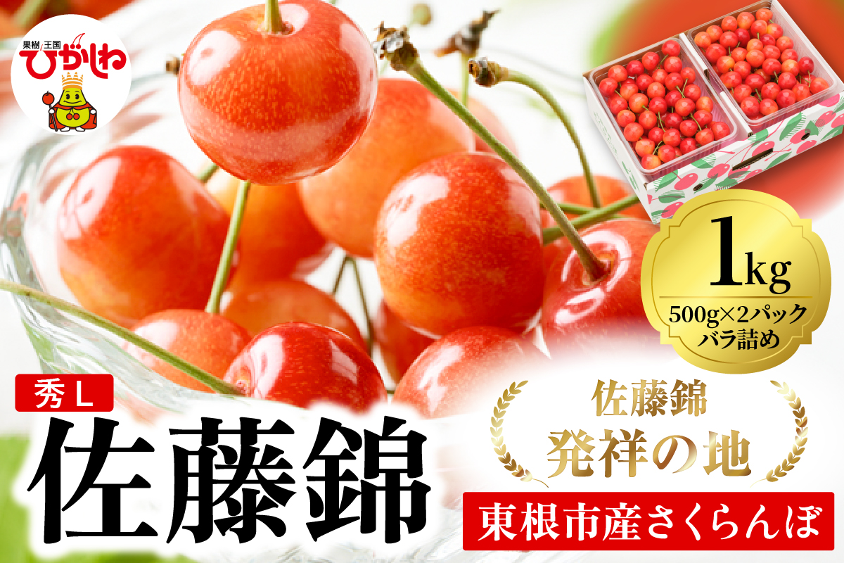 2026年 東根産さくらんぼ「佐藤錦」1kgバラ詰め(500g×2ﾊﾟｯｸ) 秀品 Lサイズ 東根農産センター提供 山形県 東根市 hi027-215