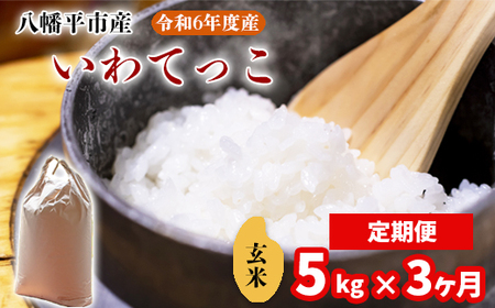 【2024年11月発送開始】 令和6年産 新米 岩手県産 いわてっこ 玄米 5kg × 3ヶ月定期便 ／ 米 産地直送 農家直送 【中沢農産】