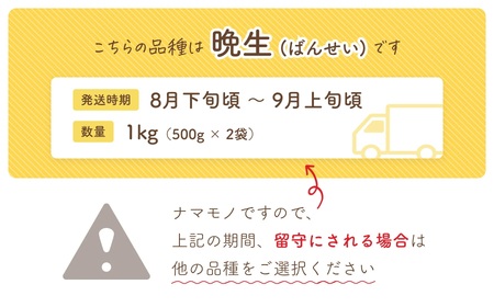 【令和8年産 先行予約】だだちゃ豆　(晩生)　1000g（500g×2袋） だだちゃ喜左衛門株式会社　枝豆 1kg