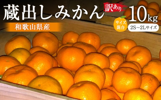 訳あり 蔵出しみかん 約10kg 2S～2Lサイズ混合