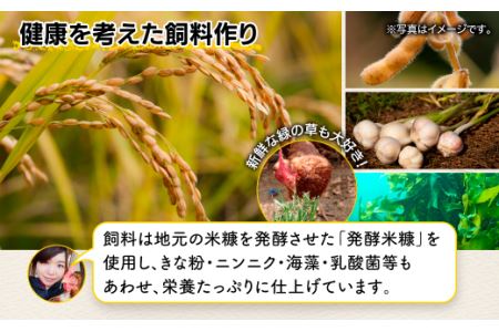 たまご 鶏卵 佐賀県鹿島産 平飼い卵「うみとやまとこっこ」上田養鶏場 たまご40個 卵 タマゴ 生卵 玉子焼き 卵焼き 玉子焼き 佐賀産 国産 たまご 美味しい卵 B-390