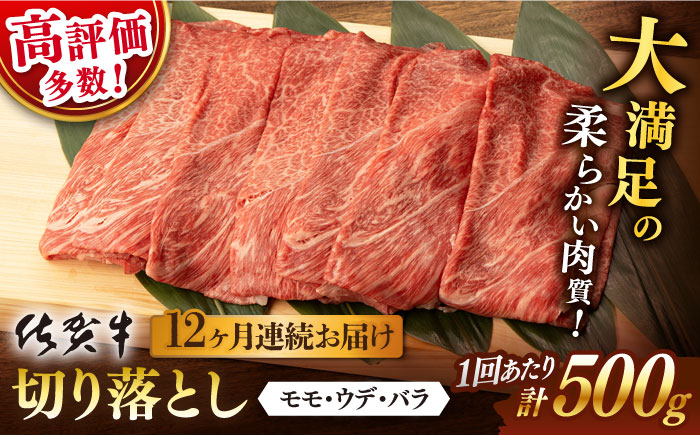 【12回定期便】 佐賀牛 切り落とし 500g (総計 6.0kg)【桑原畜産】 [NAB034] 佐賀牛 牛肉 切り落とし 佐賀牛 牛肉 切り落とし