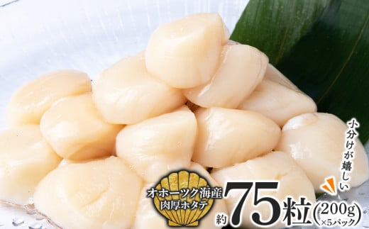 
ほたて 貝柱 冷凍 200ｇ(15粒前後)×5パック 小分け お取り寄せ 刺身 《横田水産》
