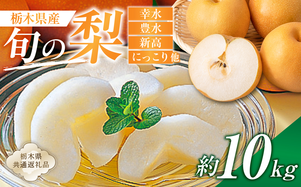 ns110-002-3 栃木県産　旬の梨　約10kg【栃木県共通返礼品】