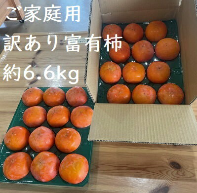 【ふるさと納税】【訳あり】【先行受付】精華園 の 家庭用 富有柿 約 6.6kg | 柿 果物 果実 フルーツ 美濃加茂市 岐阜県 冷蔵 送料無料 【2025年12月上旬～12月下旬迄発送予定】