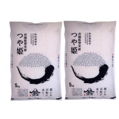 ふるさと納税 登米市 【特別栽培米】宮城県登米市産つや姫精米5kg×2個